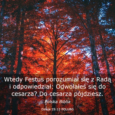 Picture 03 - Dzieje 25:12 POLUBG - Wtedy Festus porozumiał się z Radą i - Bible Verse Picture