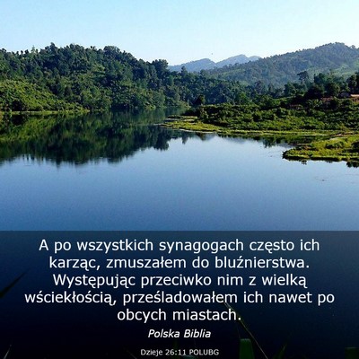 Picture 03 - Dzieje 26:11 POLUBG - A po wszystkich synagogach często ich karząc, - Bible Verse Picture