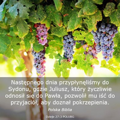 Picture 03 - Dzieje 27:3 POLUBG - Następnego dnia przypłynęliśmy do Sydonu, - Bible Verse Picture