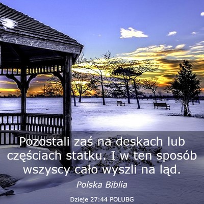 Picture 03 - Dzieje 27:44 POLUBG - Pozostali zaś na deskach lub częściach statku. - Bible Verse Picture