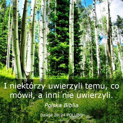 Picture 03 - Dzieje 28:24 POLUBG - I niektórzy uwierzyli temu, co mówił, a inni - Bible Verse Picture
