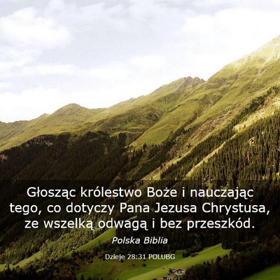Picture 03 - Dzieje 28:31 POLUBG - Głosząc królestwo Boże i nauczając tego, co - Bible Verse Picture