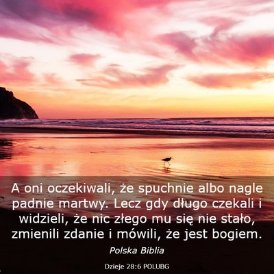 Picture 03 - Dzieje 28:6 POLUBG - A oni oczekiwali, że spuchnie albo nagle padnie - Bible Verse Picture