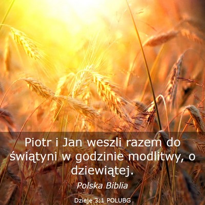 Picture 03 - Dzieje 3:1 POLUBG - Piotr i Jan weszli razem do świątyni w godzinie - Bible Verse Picture