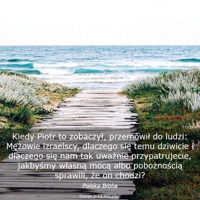 Picture 03 - Dzieje 3:12 POLUBG - Kiedy Piotr to zobaczył, przemówił do ludzi: - Bible Verse Picture