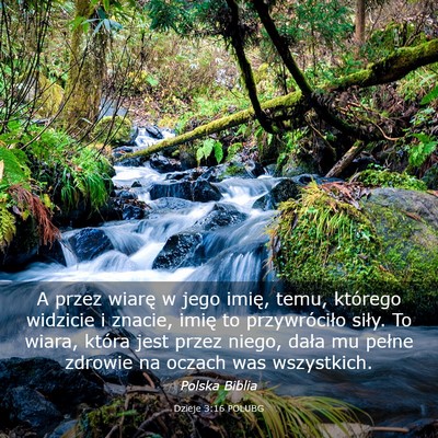 Picture 03 - Dzieje 3:16 POLUBG - A przez wiarę w jego imię, temu, którego - Bible Verse Picture