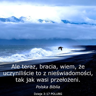 Picture 03 - Dzieje 3:17 POLUBG - Ale teraz, bracia, wiem, że uczyniliście to z - Bible Verse Picture