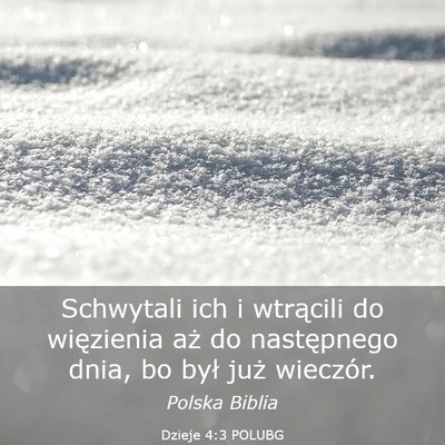 Picture 03 - Dzieje 4:3 POLUBG - Schwytali ich i wtrącili do więzienia aż do - Bible Verse Picture