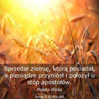 Picture 03 - Dzieje 4:37 POLUBG - Sprzedał ziemię, którą posiadał, a - Bible Verse Picture