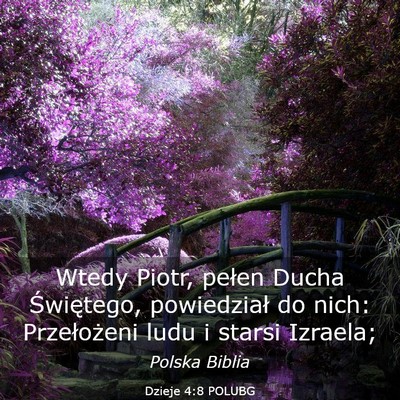 Picture 03 - Dzieje 4:8 POLUBG - Wtedy Piotr, pełen Ducha Świętego, powiedział - Bible Verse Picture