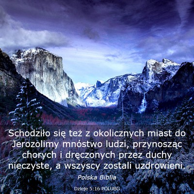 Picture 03 - Dzieje 5:16 POLUBG - Schodziło się też z okolicznych miast do - Bible Verse Picture