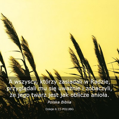 Picture 03 - Dzieje 6:15 POLUBG - A wszyscy, którzy zasiadali w Radzie, - Bible Verse Picture