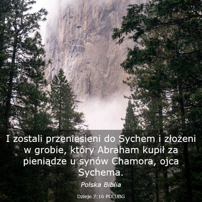 Picture 03 - Dzieje 7:16 POLUBG - I zostali przeniesieni do Sychem i złożeni w - Bible Verse Picture
