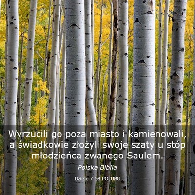 Picture 03 - Dzieje 7:58 POLUBG - Wyrzucili go poza miasto i kamienowali, a - Bible Verse Picture