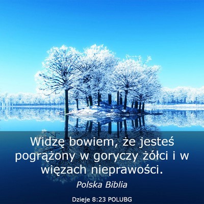 Picture 03 - Dzieje 8:23 POLUBG - Widzę bowiem, że jesteś pogrążony w goryczy - Bible Verse Picture