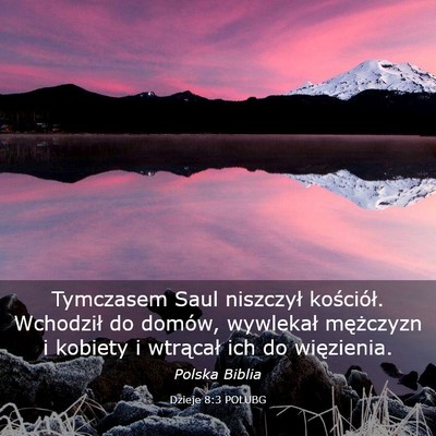 Picture 03 - Dzieje 8:3 POLUBG - Tymczasem Saul niszczył kościół. Wchodził do - Bible Verse Picture