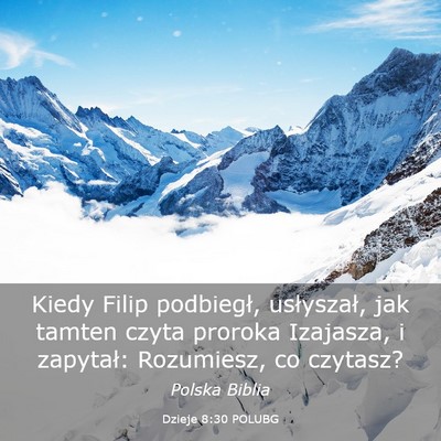 Picture 03 - Dzieje 8:30 POLUBG - Kiedy Filip podbiegł, usłyszał, jak tamten - Bible Verse Picture