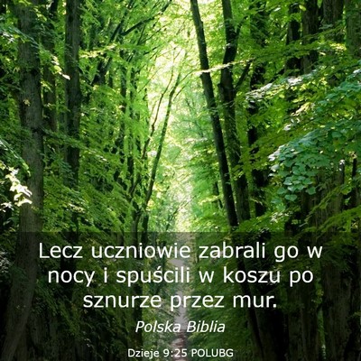 Picture 03 - Dzieje 9:25 POLUBG - Lecz uczniowie zabrali go w nocy i spuścili w - Bible Verse Picture