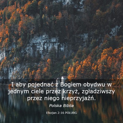 Picture 03 - Efezjan 2:16 POLUBG - I aby pojednać z Bogiem obydwu w jednym ciele - Bible Verse Picture
