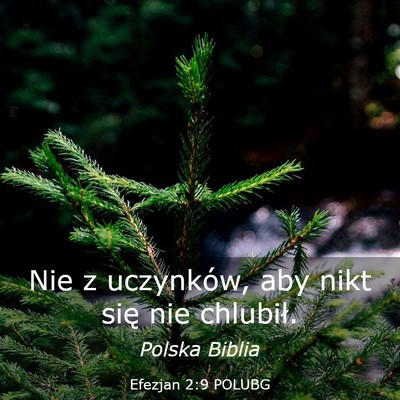 Picture 03 - Efezjan 2:9 POLUBG - Nie z uczynków, aby nikt się nie - Bible Verse Picture