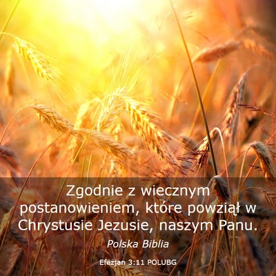 Picture 03 - Efezjan 3:11 POLUBG - Zgodnie z wiecznym postanowieniem, które - Bible Verse Picture