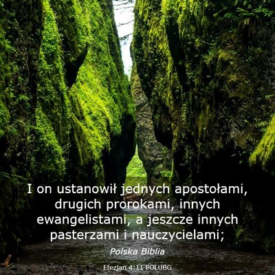 Picture 03 - Efezjan 4:11 POLUBG - I on ustanowił jednych apostołami, drugich - Bible Verse Picture