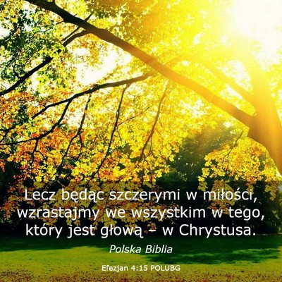Picture 03 - Efezjan 4:15 POLUBG - Lecz będąc szczerymi w miłości, wzrastajmy we - Bible Verse Picture