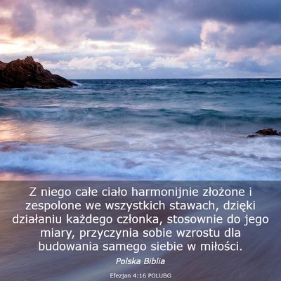 Picture 03 - Efezjan 4:16 POLUBG - Z niego całe ciało harmonijnie złożone i - Bible Verse Picture