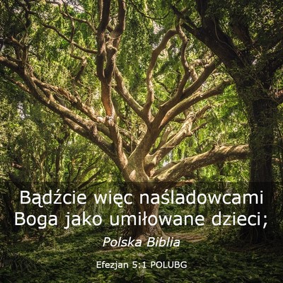 Picture 03 - Efezjan 5:1 POLUBG - Bądźcie więc naśladowcami Boga jako - Bible Verse Picture