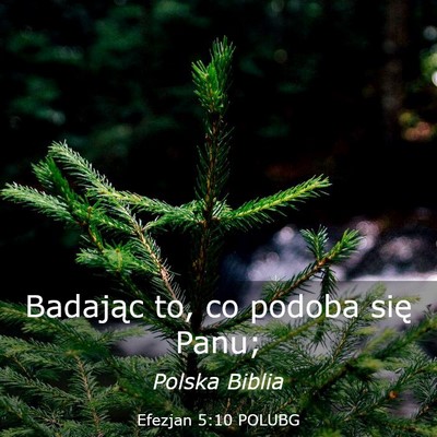 Picture 03 - Efezjan 5:10 POLUBG - Badając to, co podoba się - Bible Verse Picture