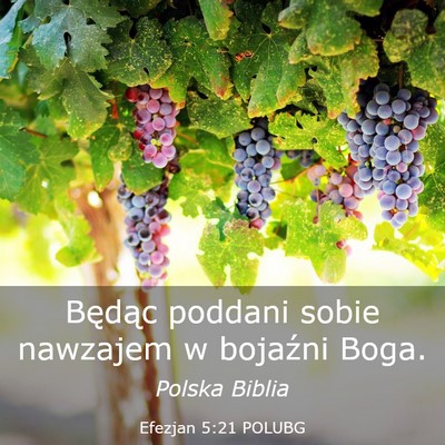 Picture 03 - Efezjan 5:21 POLUBG - Będąc poddani sobie nawzajem w bojaźni - Bible Verse Picture