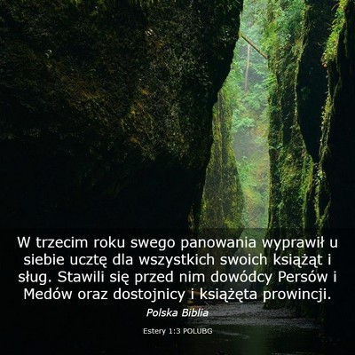 Picture 03 - Estery 1:3 POLUBG - W trzecim roku swego panowania wyprawił u siebie - Bible Verse Picture