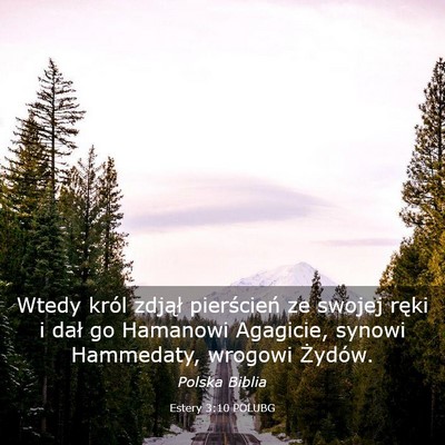 Picture 03 - Estery 3:10 POLUBG - Wtedy król zdjął pierścień ze swojej ręki i - Bible Verse Picture