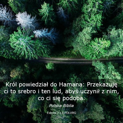 Picture 03 - Estery 3:11 POLUBG - Król powiedział do Hamana: Przekazuję ci to - Bible Verse Picture