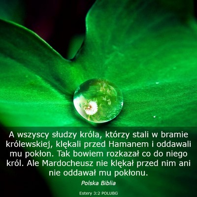 Picture 03 - Estery 3:2 POLUBG - A wszyscy słudzy króla, którzy stali w bramie - Bible Verse Picture