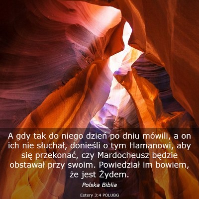 Picture 03 - Estery 3:4 POLUBG - A gdy tak do niego dzień po dniu mówili, a on - Bible Verse Picture