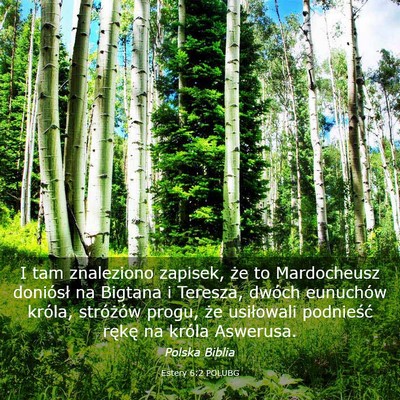 Picture 03 - Estery 6:2 POLUBG - I tam znaleziono zapisek, że to Mardocheusz - Bible Verse Picture