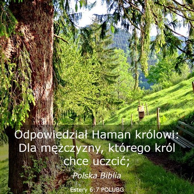 Picture 03 - Estery 6:7 POLUBG - Odpowiedział Haman królowi: Dla mężczyzny, - Bible Verse Picture
