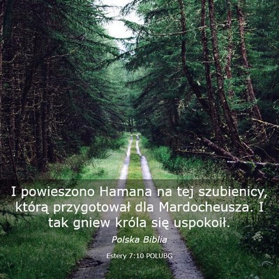 Picture 03 - Estery 7:10 POLUBG - I powieszono Hamana na tej szubienicy, którą - Bible Verse Picture