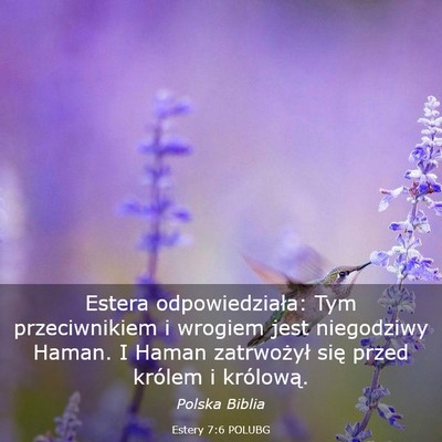 Picture 03 - Estery 7:6 POLUBG - Estera odpowiedziała: Tym przeciwnikiem i - Bible Verse Picture