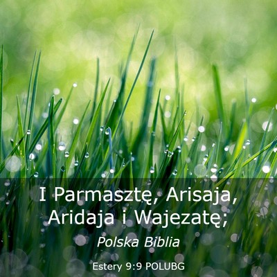 Picture 03 - Estery 9:9 POLUBG - I Parmasztę, Arisaja, Aridaja i - Bible Verse Picture