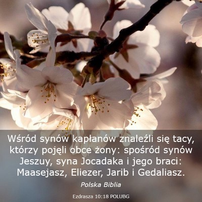 Picture 03 - Ezdrasza 10:18 POLUBG - Wśród synów kapłanów znaleźli się tacy, - Bible Verse Picture