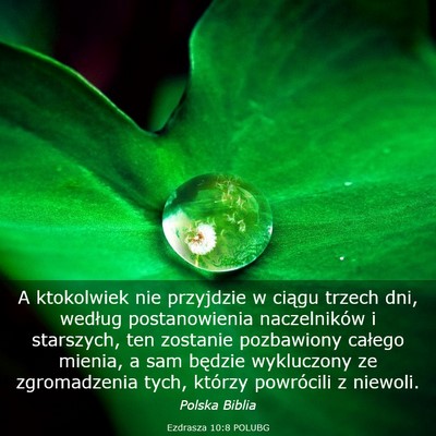 Picture 03 - Ezdrasza 10:8 POLUBG - A ktokolwiek nie przyjdzie w ciągu trzech dni, - Bible Verse Picture