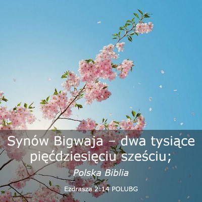 Picture 03 - Ezdrasza 2:14 POLUBG - Synów Bigwaja – dwa tysiące pięćdziesięciu - Bible Verse Picture