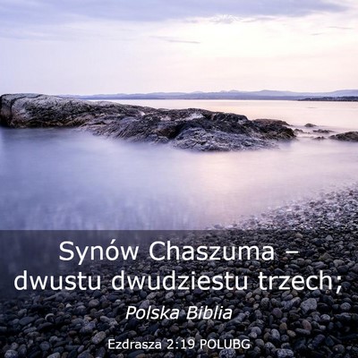 Picture 03 - Ezdrasza 2:19 POLUBG - Synów Chaszuma – dwustu dwudziestu - Bible Verse Picture