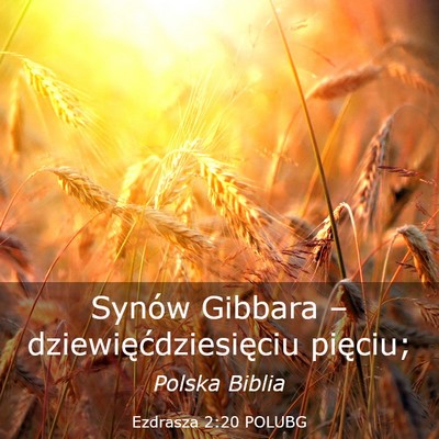 Picture 03 - Ezdrasza 2:20 POLUBG - Synów Gibbara – dziewięćdziesięciu - Bible Verse Picture