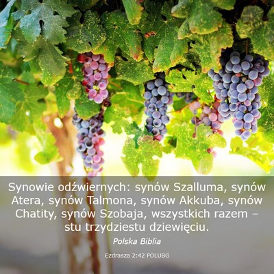 Picture 03 - Ezdrasza 2:42 POLUBG - Synowie odźwiernych: synów Szalluma, synów - Bible Verse Picture