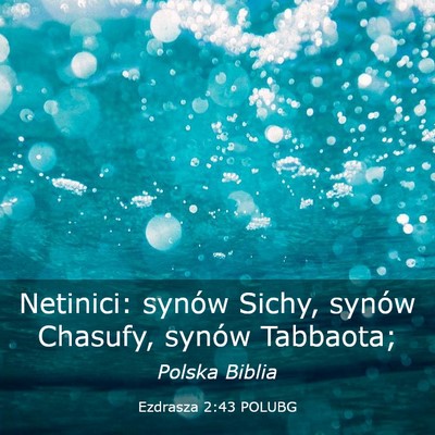 Picture 03 - Ezdrasza 2:43 POLUBG - Netinici: synów Sichy, synów Chasufy, synów - Bible Verse Picture