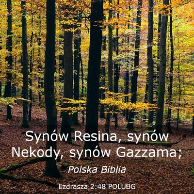 Picture 03 - Ezdrasza 2:48 POLUBG - Synów Resina, synów Nekody, synów - Bible Verse Picture