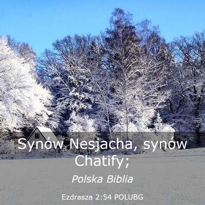 Picture 03 - Ezdrasza 2:54 POLUBG - Synów Nesjacha, synów - Bible Verse Picture